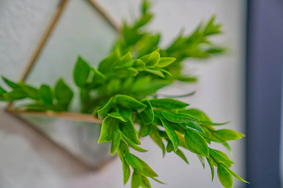 This tranquil interior scene highlights vibrant green leaves in a decorative wall-mounted vase. The peaceful mood and inviting setting make it an excellent spot for quiet contemplation or a restorative pause during the workday.