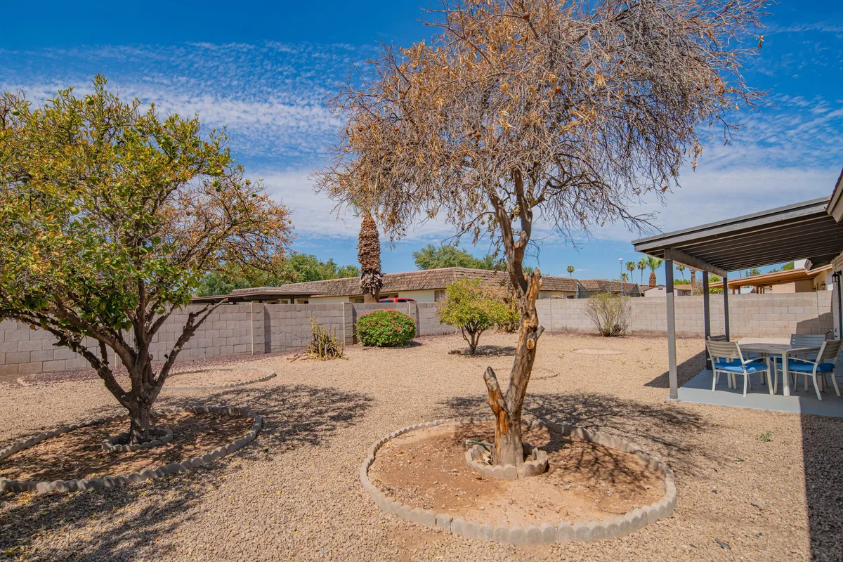 A tranquil backyard outdoor seating area shaded by two trees, complete with gravel landscaping. The space is designed for relaxation, stargazing, or enjoying meals al fresco after a day out.